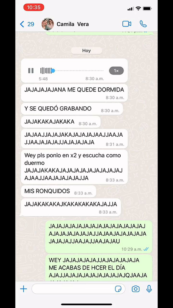 Se durmió en medio de una conversación de wspp