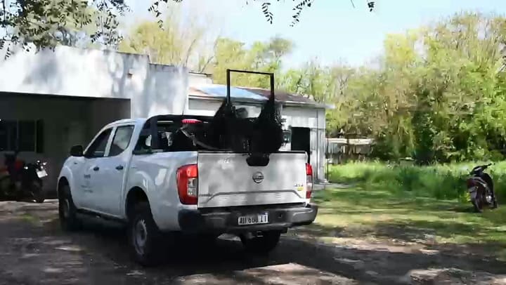 Aguará guazú fue rescatado y lo trasladaron a un centro de fauna en Santa Fe