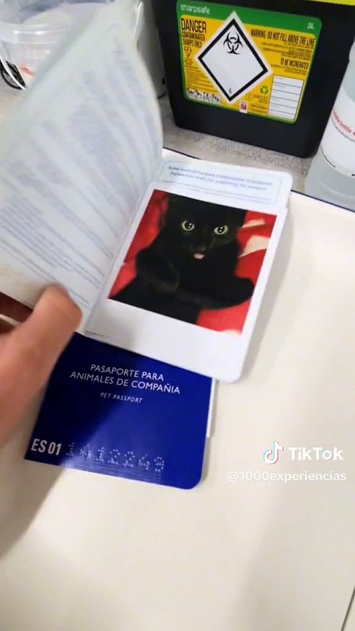 Tiktok 1000 E