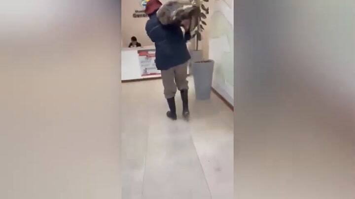 Le faenaron una yegua y una vaca, y llevó los restos a la Municipalidad de General Acha