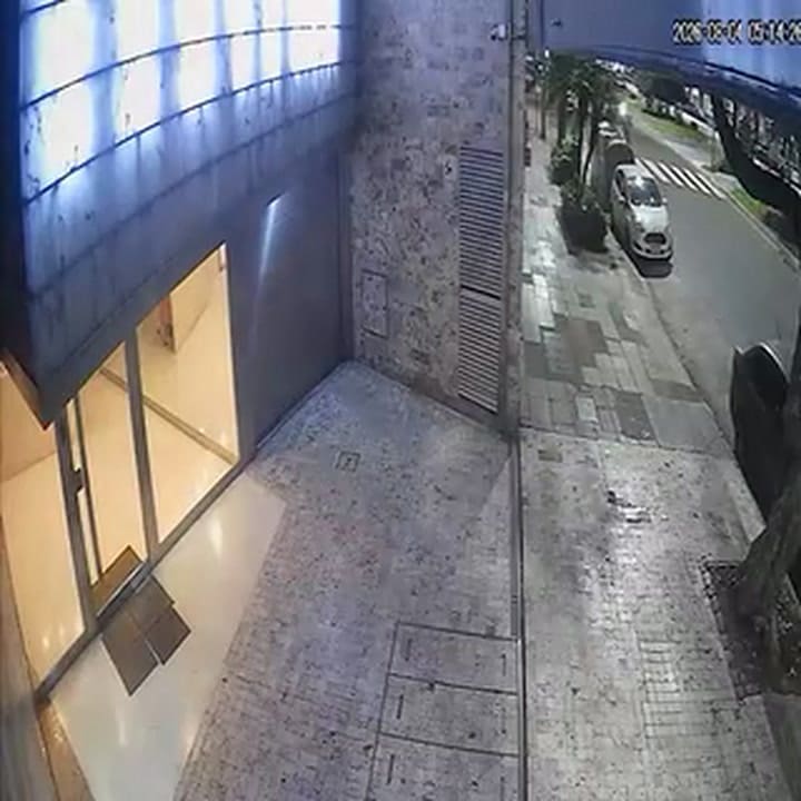 La cámara de seguridad de un edificio muestra al perro corriendo varias metros por delante de la mujer
