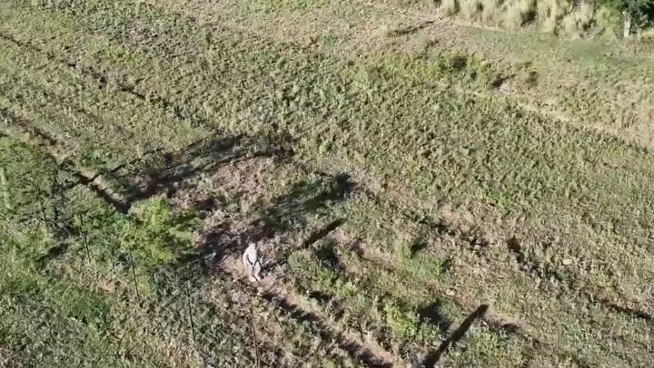 Niña dron La Pampa