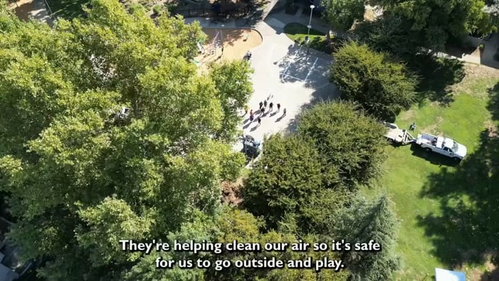 Sacramento desarrolla un plan forestal estratégico para perservar los arboles