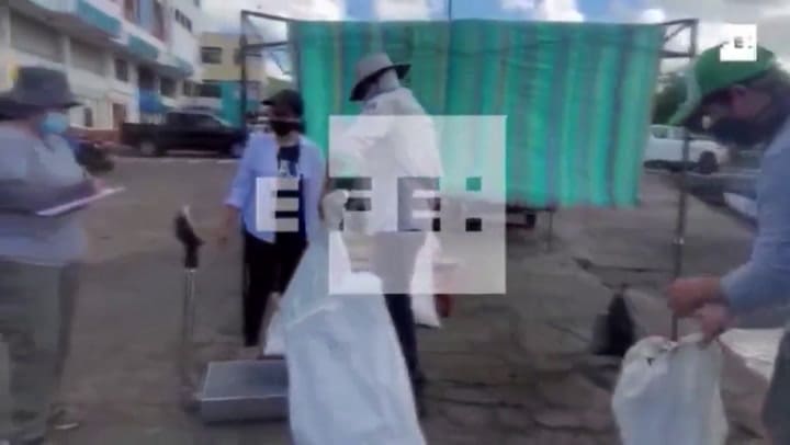 Extraen más de 2.200 kilos de basura desde el fondo marino de Galápagos