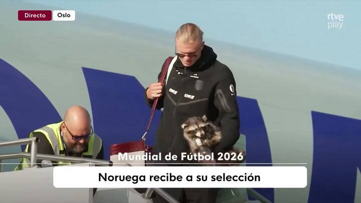 Haaland aterrizó en Noruega con un “mapache” que sujetaba un whisky entre sus garras