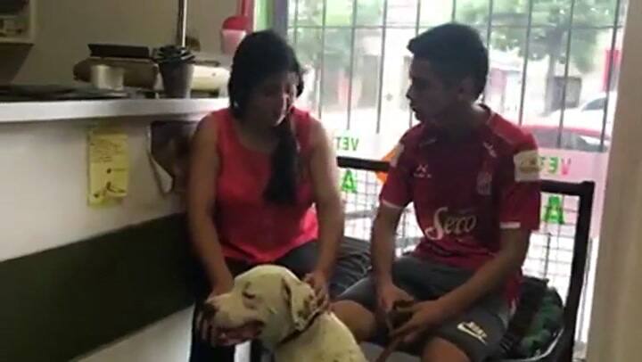 Macaco e Isaias, su dueño, esperando a Andrea para que lo bañen, en la Veterinaria Espacio Animal -