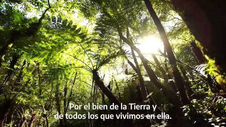 El Gobierno impulsa la campaña 'Lunes verde'