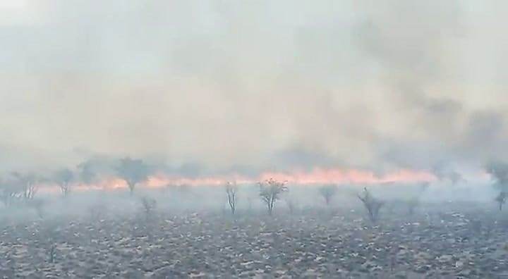 Se le incendió un campo en La Pampa y relató el episodio