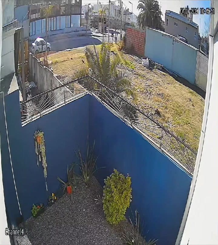Los videos, las claves de la investigación