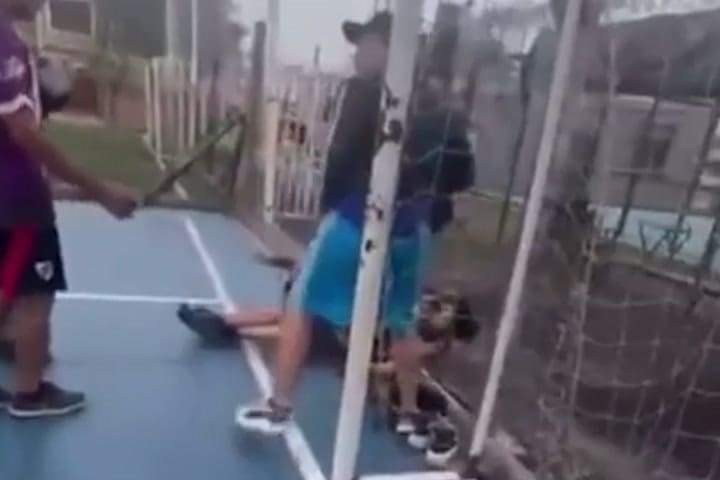 GIF Merlo