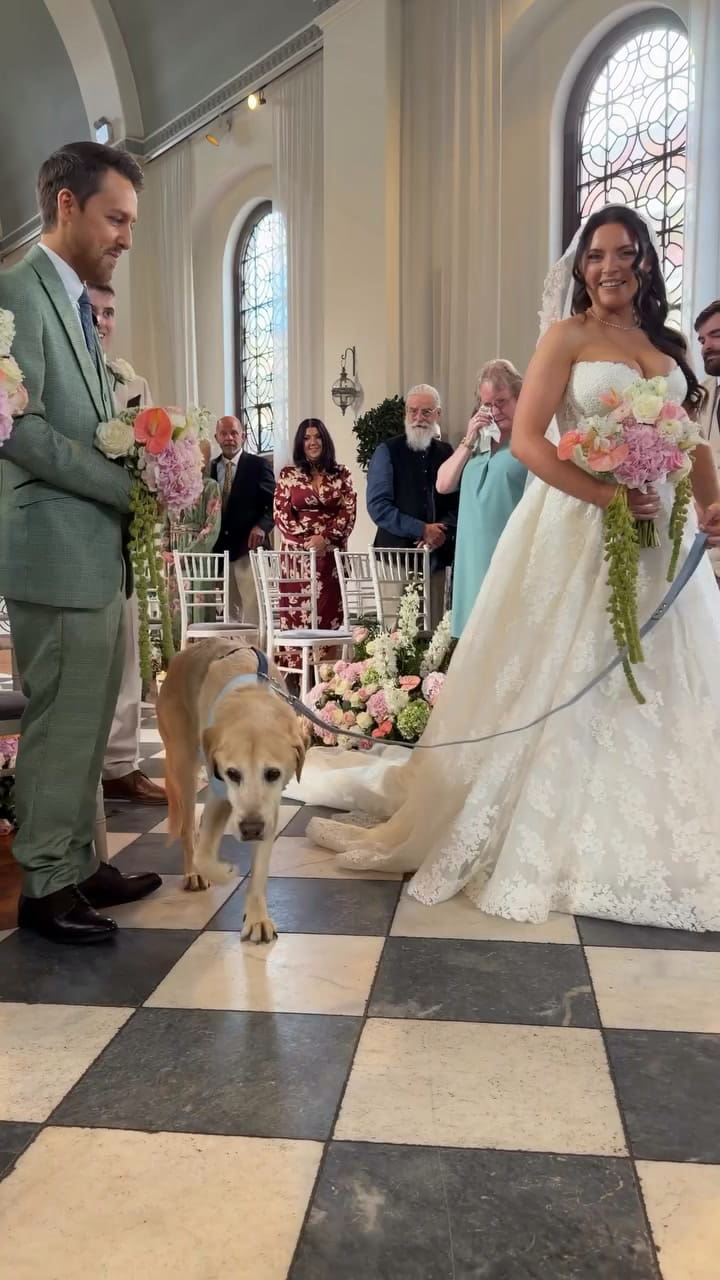 Acompañó a su dueña al altar y murió dos días después de la boda
