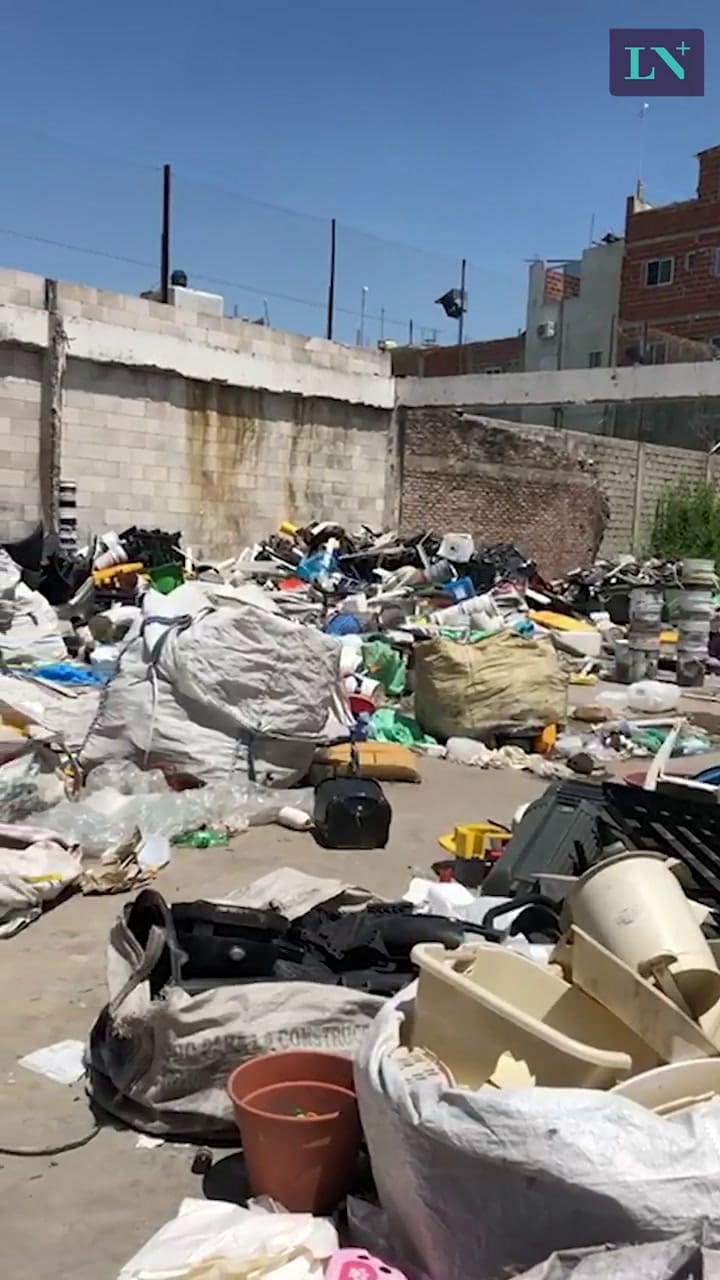 Siempre Verde