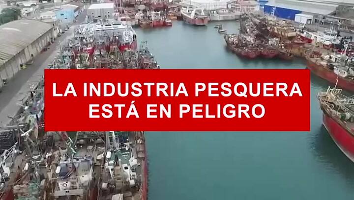 Video De Pesca