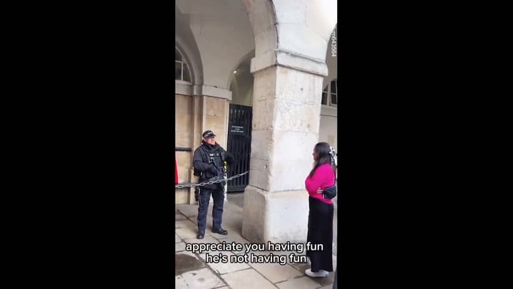 Armed Police Officer Shuts Down Tourists 'Ridiculing' King's Guard In Central London!