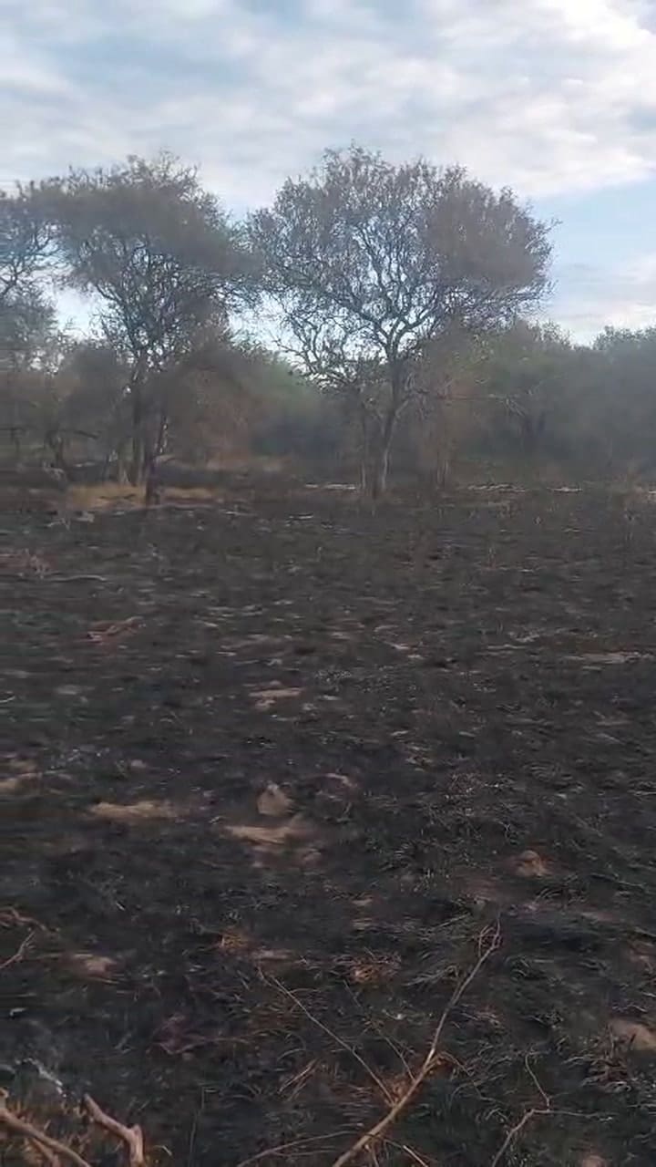 Así quedó el campo consumido por las llamas
