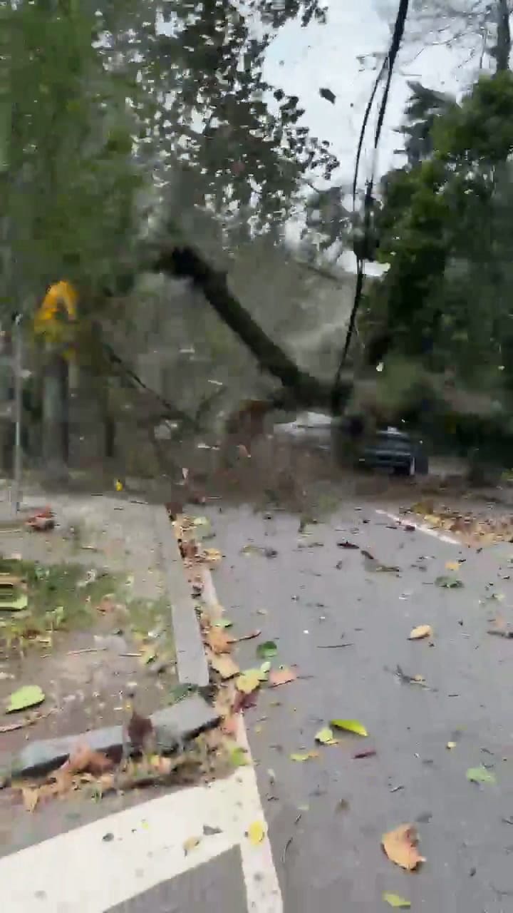 Fuertes ráfagas de viento causan estragos en Brasil