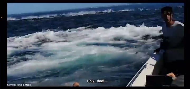 El momento exacto en el que una ballena tira por la borda a un hombre