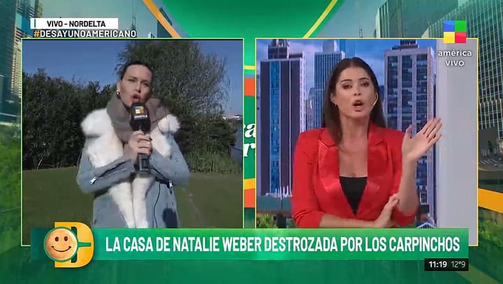 Natalie Weber se refirio a la presencia de los carpinchos en Nordelta