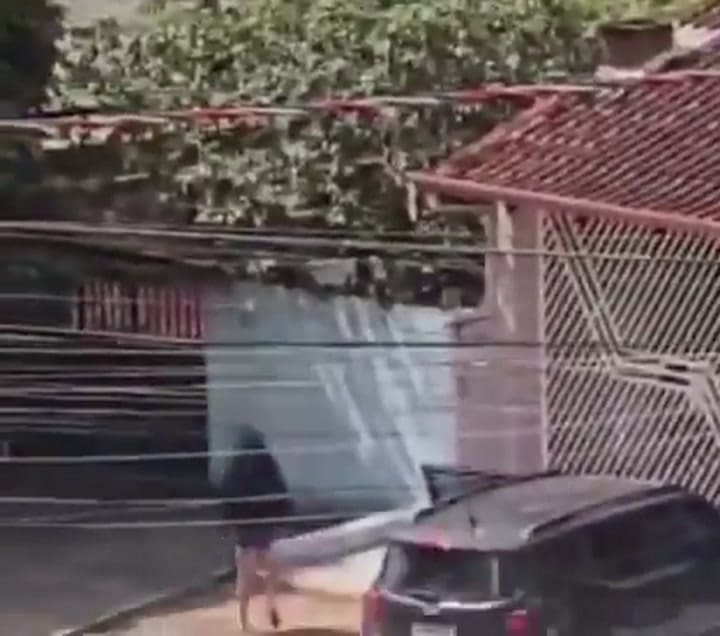 Una Mujer Embistió La Casa De Un Vecino En Brasil