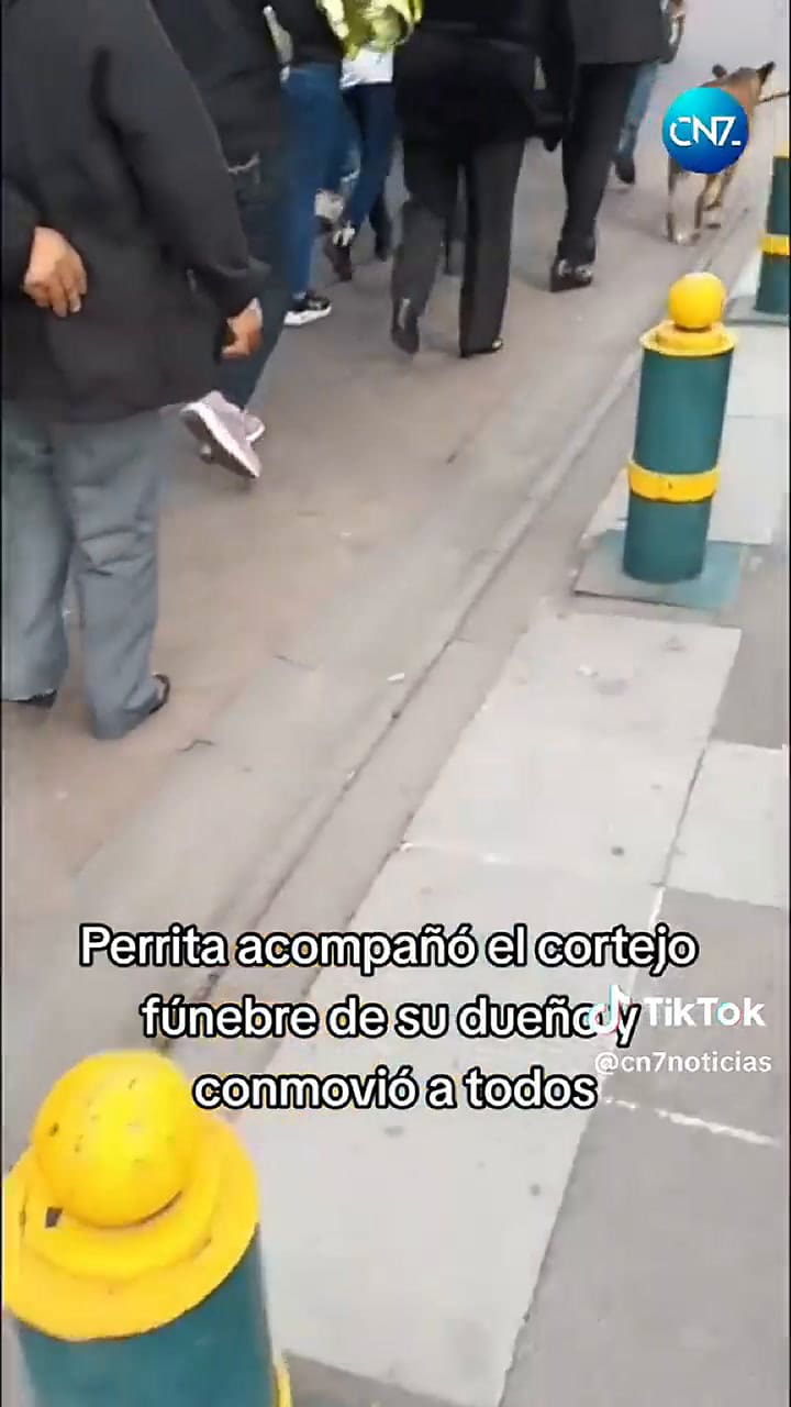 El emotivo video que se volvió viral