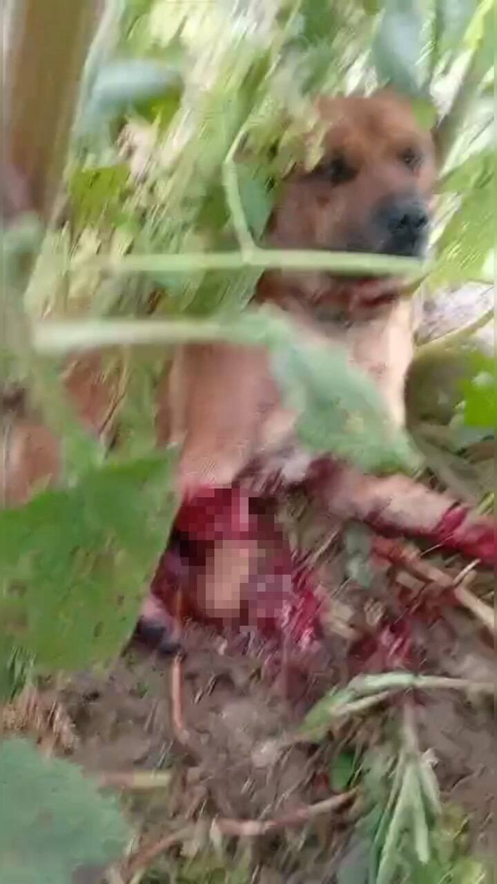 Segundo video rescate Agustín