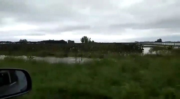 Un peligro: esta´n los campos a la vera de la ruta 11, al sur de Videla