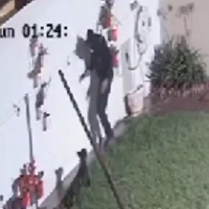 Robo perro Córdoba