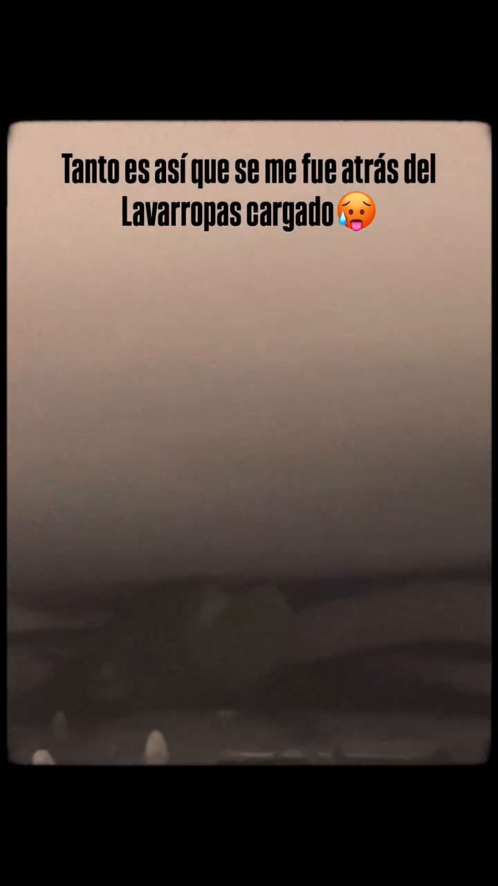 La cotorra de Paula Chaves se escapó y se metió atrás del lavarropas