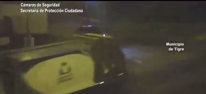 Tigre persecución
