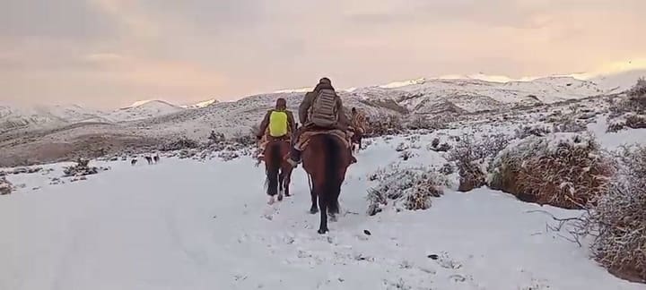Rescate en la nieve