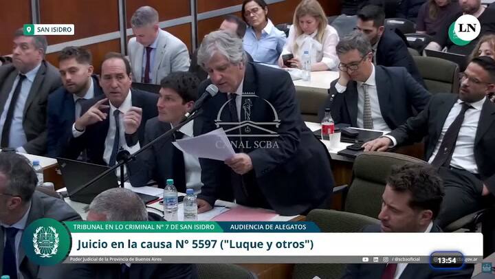 El alegato del abogado Diego Olmedo