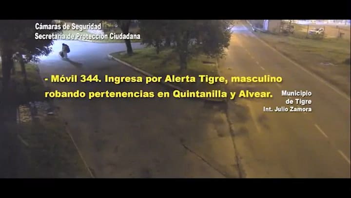 Tigre robo