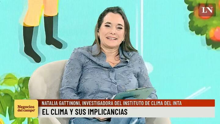 Presente y futuro del mercado de la carne argentina con Georges Breitschmitt, presidente del Ipcva