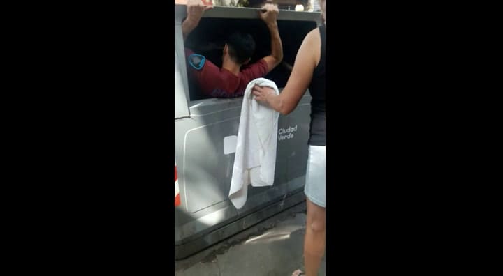 Así rescataban a Ellie, la perra que una mujer arrojó a un cesto de basura