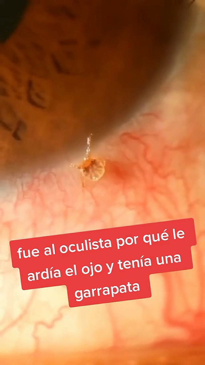 Descubrió algo que la tomó por sorpresa