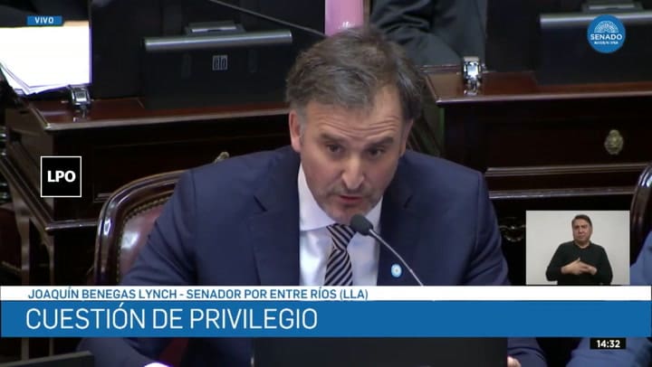 Benegas Lynch apunta contra los "tibios"