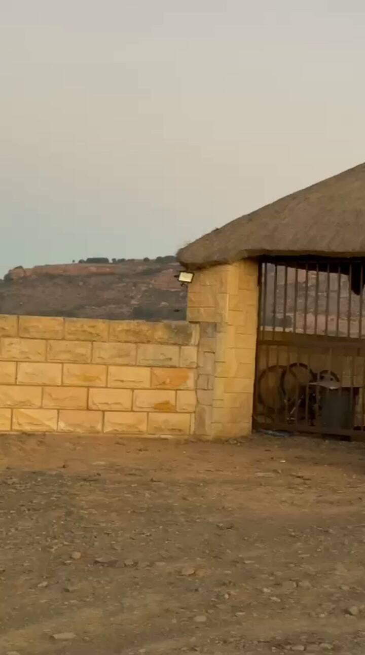 La llegada del convoy con los felinos a Lionsrock