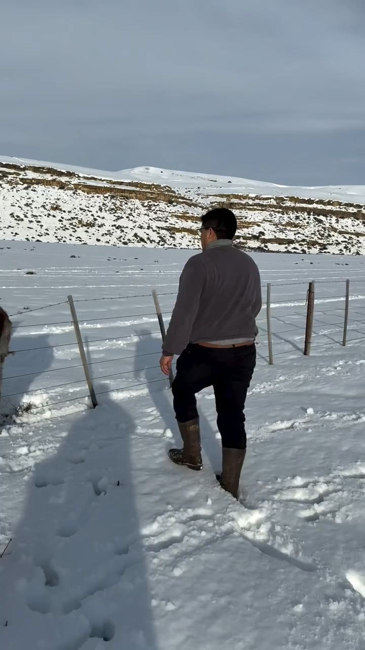 Vidal ayuda a liberar un guanaco atrapado