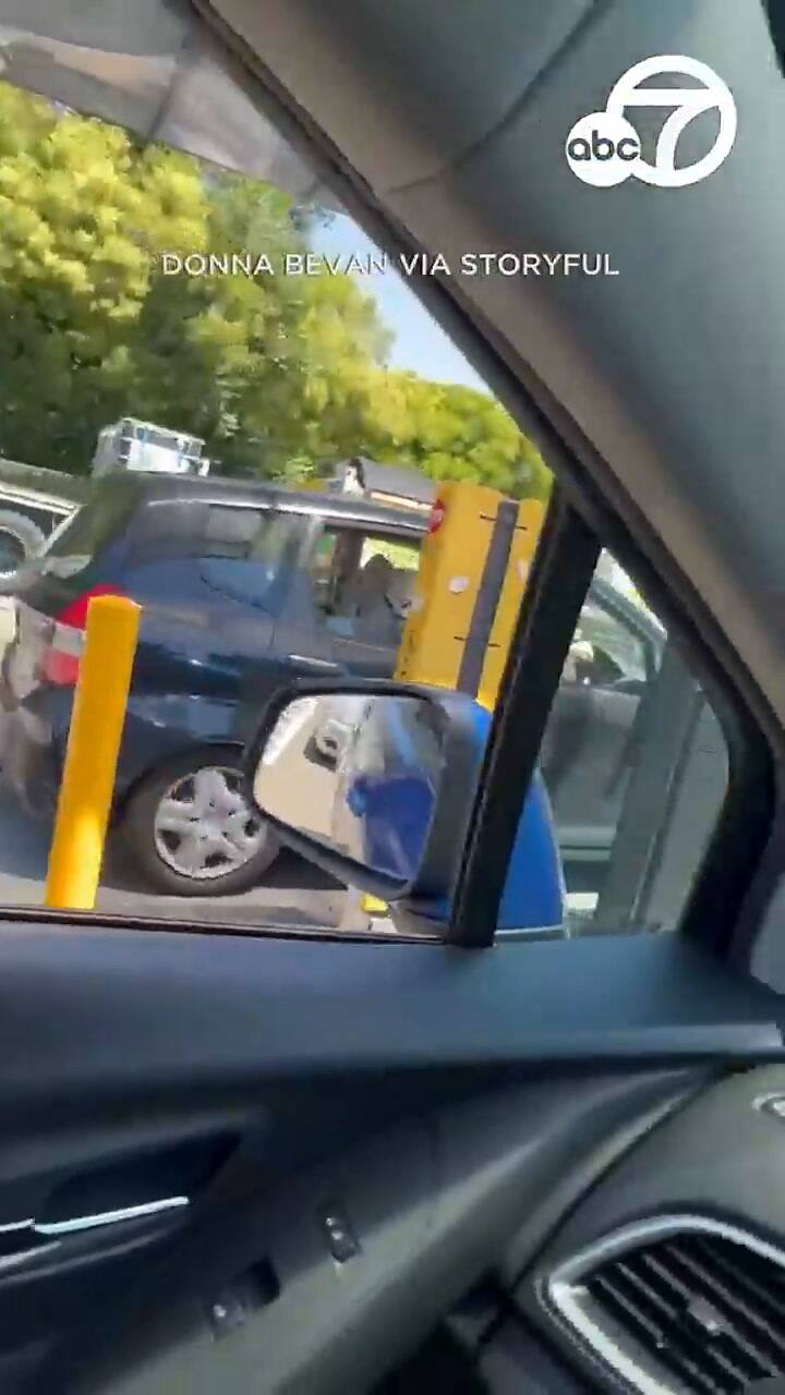 Este video se ha vuelto viral en redes sociales.