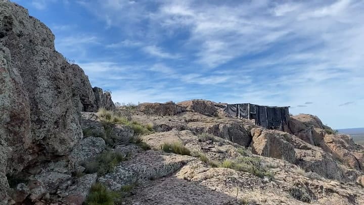 Liberación de cóndores en Río Negro