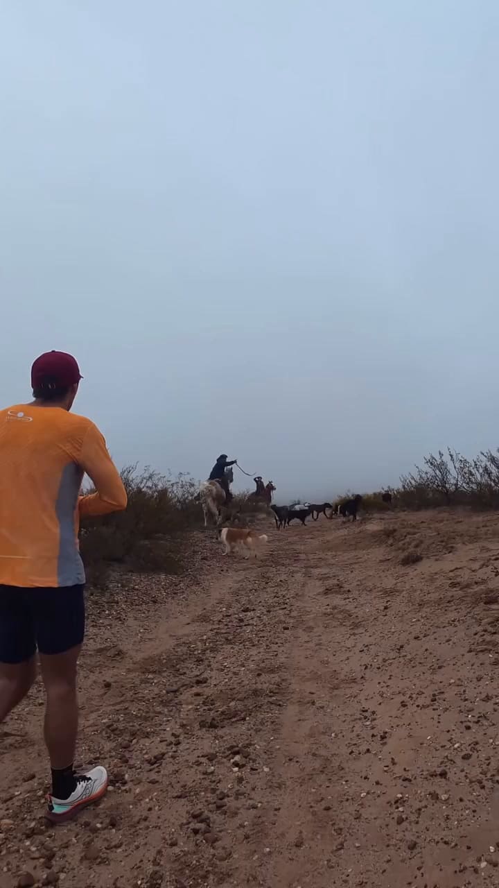 Un grupo de jinetes agredió con fustas y piedras a corredores durante una competencia en Río Negro