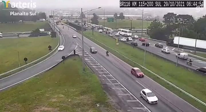Un loro obstruyó la visión de una cámara de seguridad