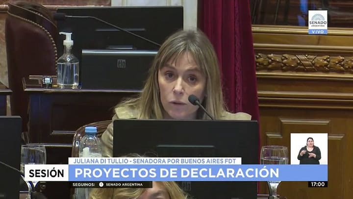 Juliana Di Tullio en el Senado