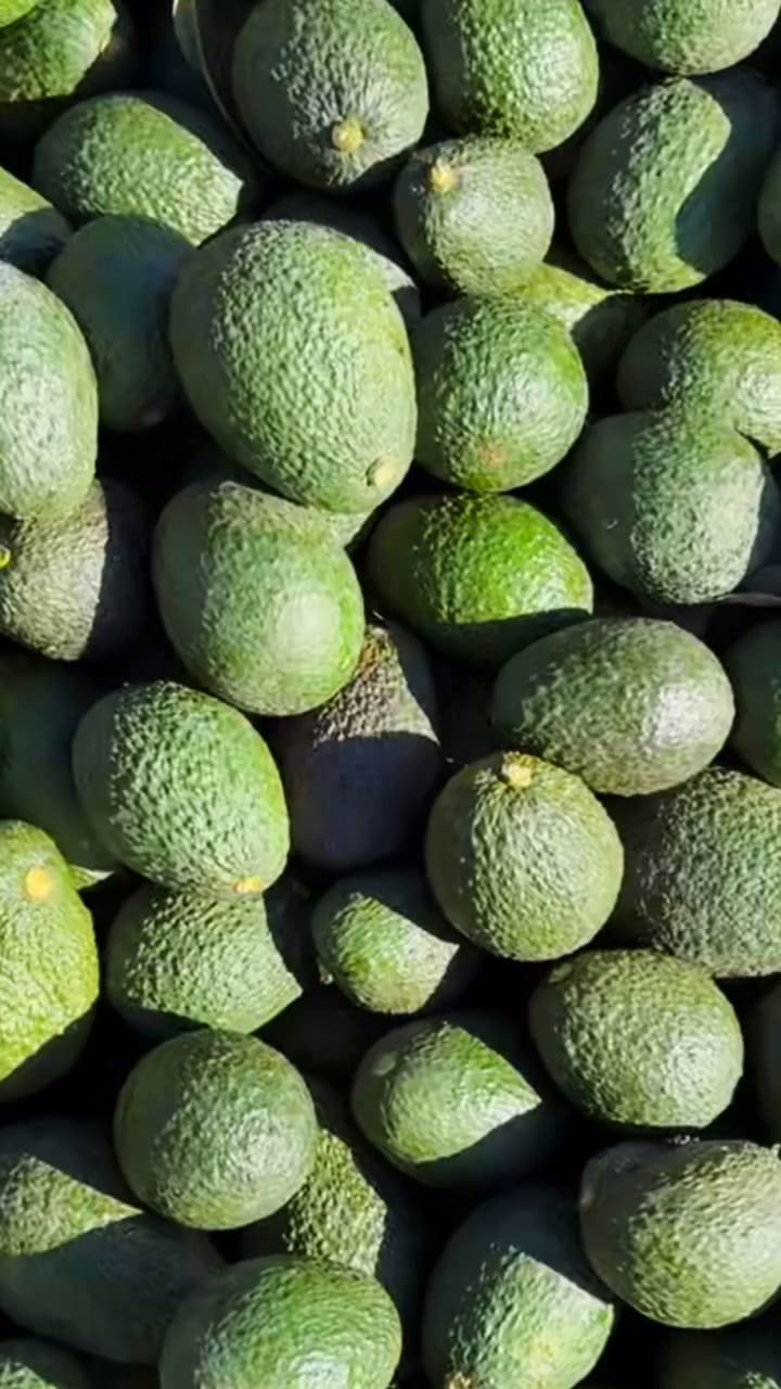 En su granja hace agricultura regenerativa