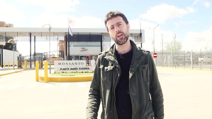 Rojas y Saladillo, dos realidades agroganaderas contrapuestas