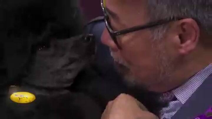 Kaz y Sage en el momento más emotivo