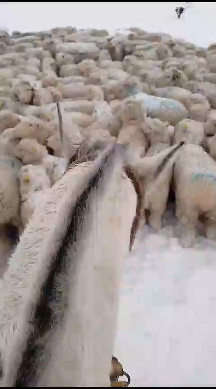 Nieve en la Patagonia
