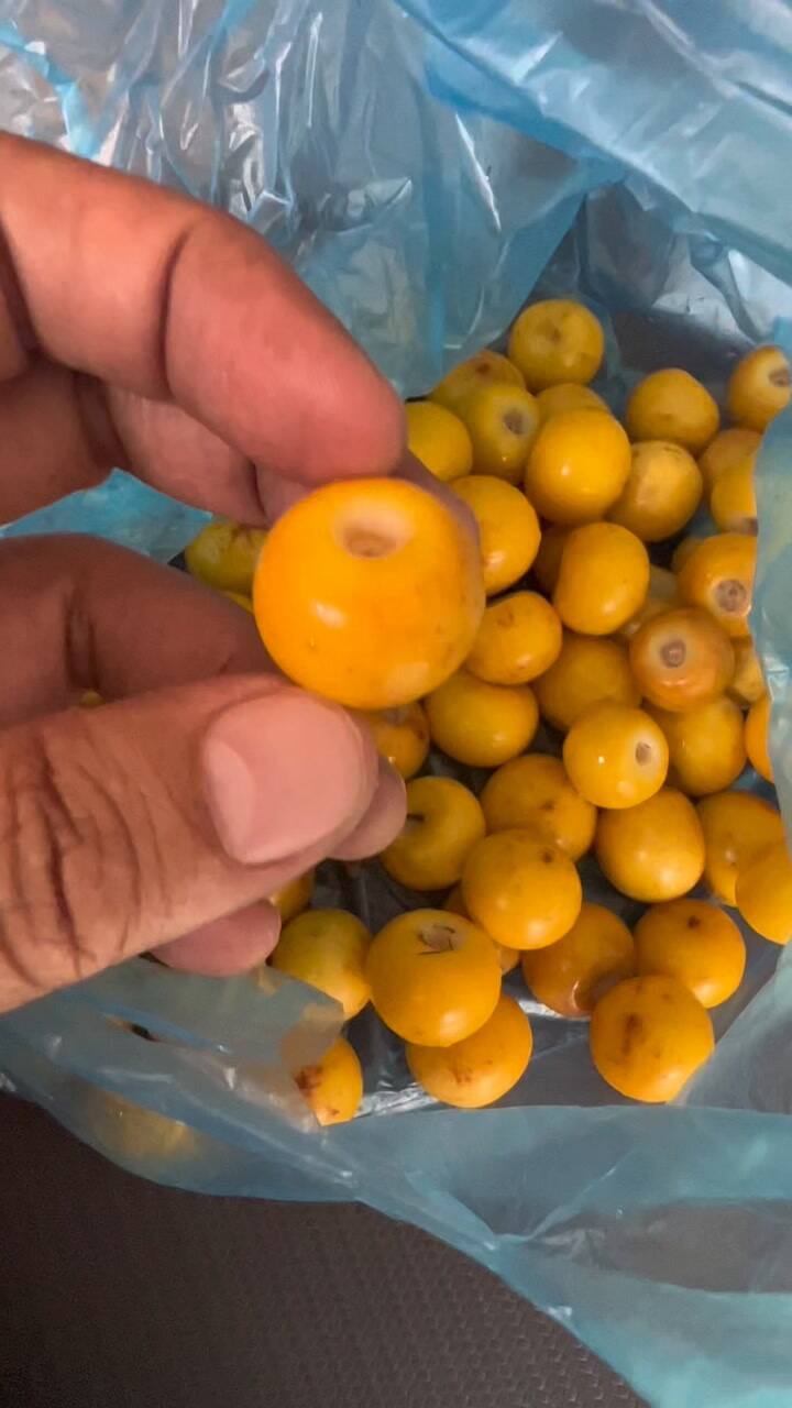 Qué es el nanche