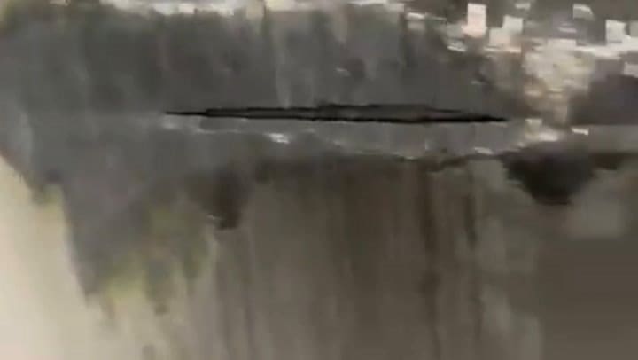 GIF Flybondi