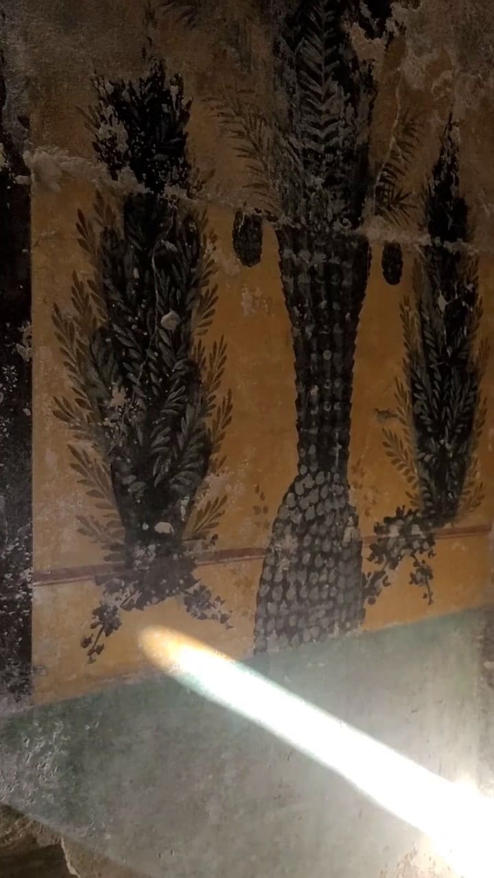 Dan a conocer pinturas que resistieron la erupción del monte Vesubio en Pompeya